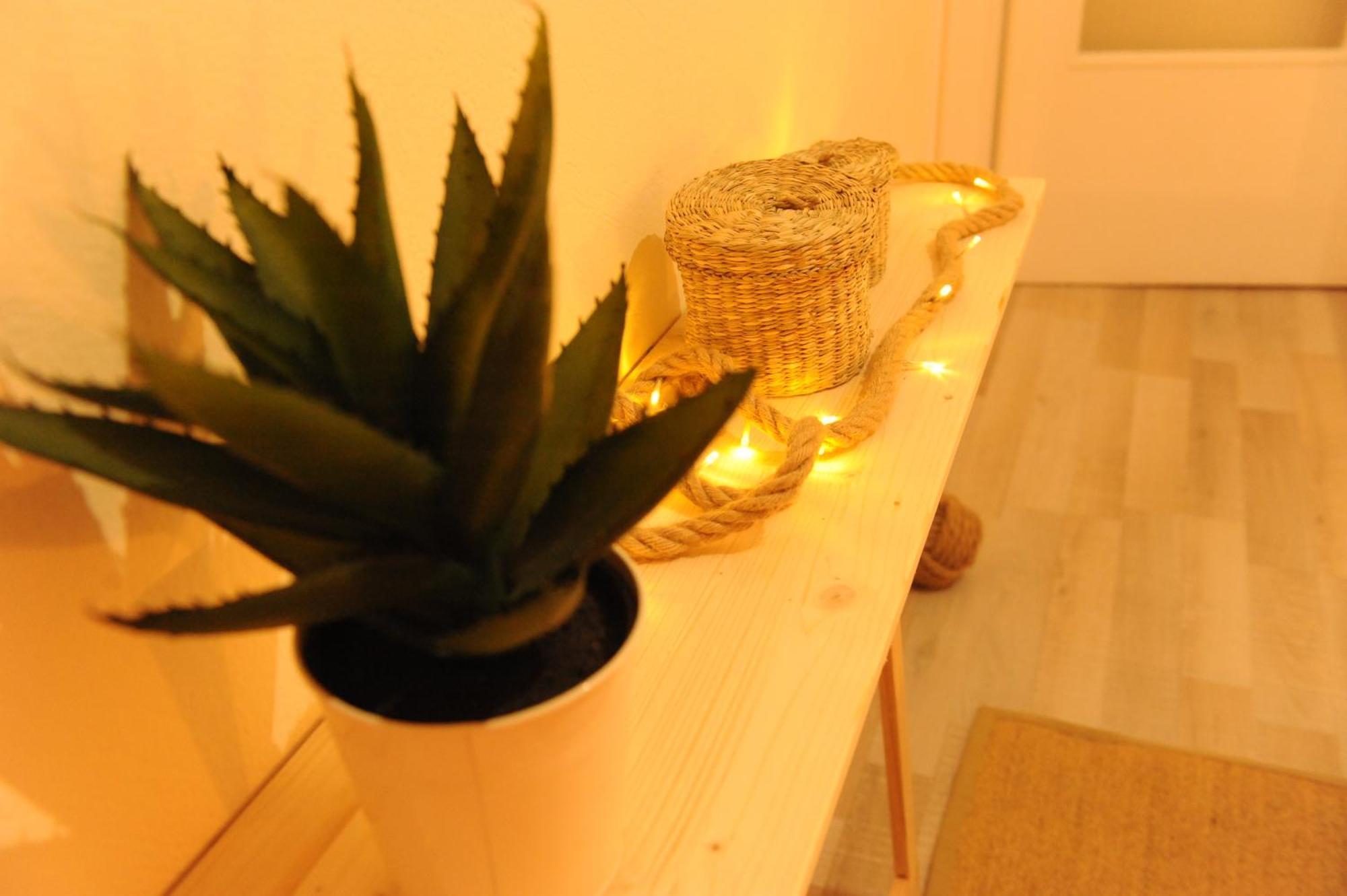 Delphic Moments - Sunny App 3Br, 2Ba With View Leilighet Eksteriør bilde
